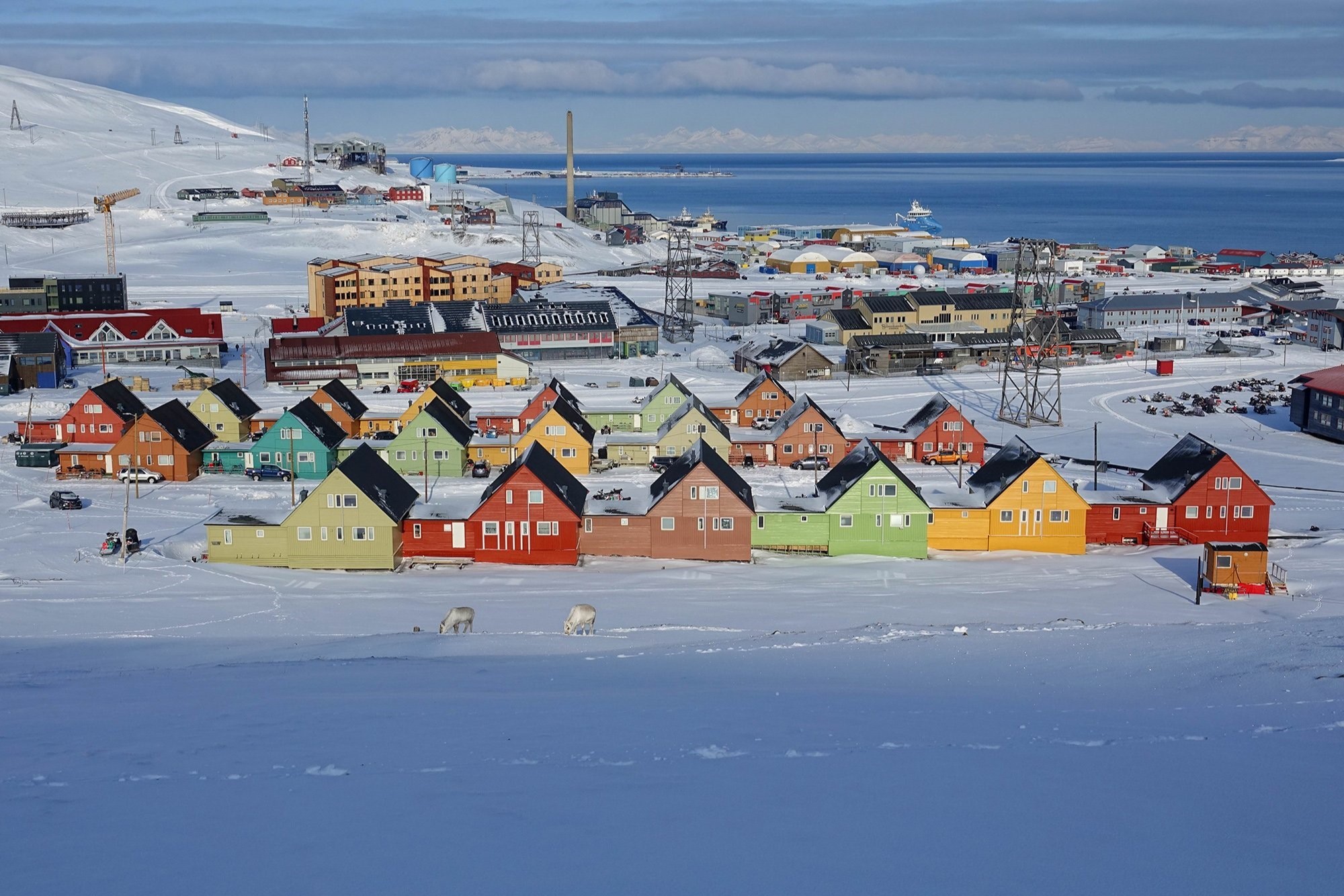 Een besneeuwd landschap in Spitsbergen met kleurrijke huizen, omringd door sneeuwbedekte heuvels, de oceaan en verre bergen. Twee rendieren zwerven op de voorgrond.